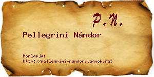 Pellegrini Nándor névjegykártya
