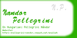 nandor pellegrini business card