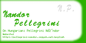 nandor pellegrini business card
